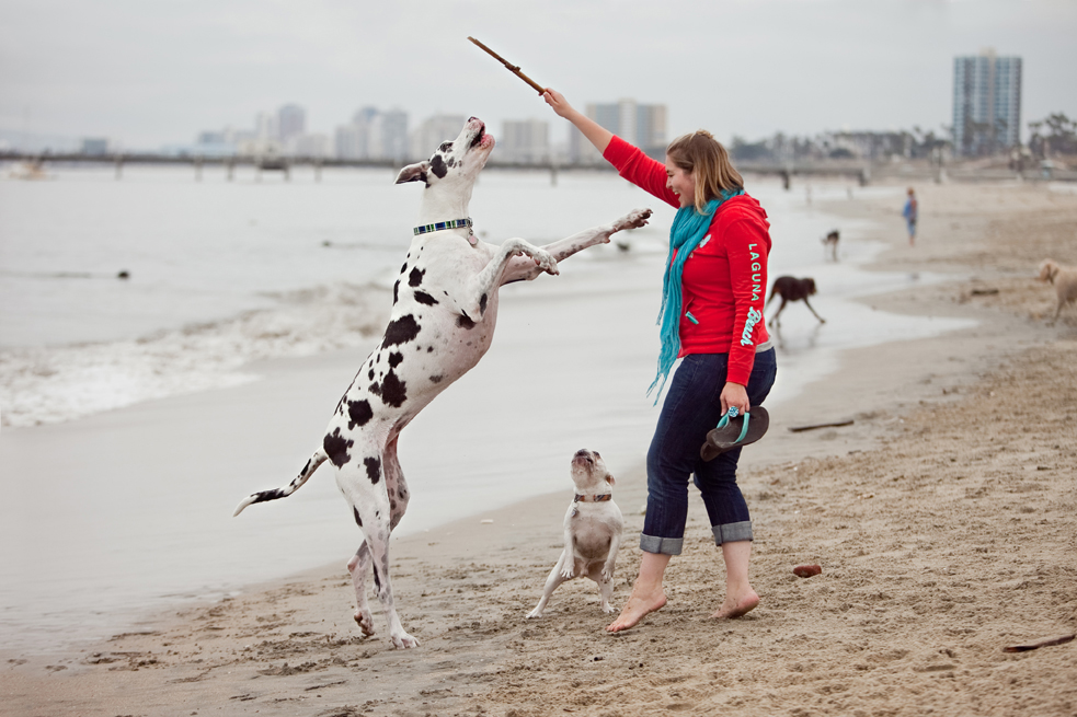 Long Beach Dog Beach