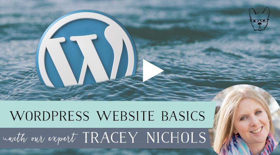 wordpress website basics