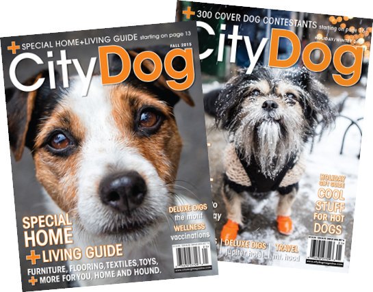 citydog_covers