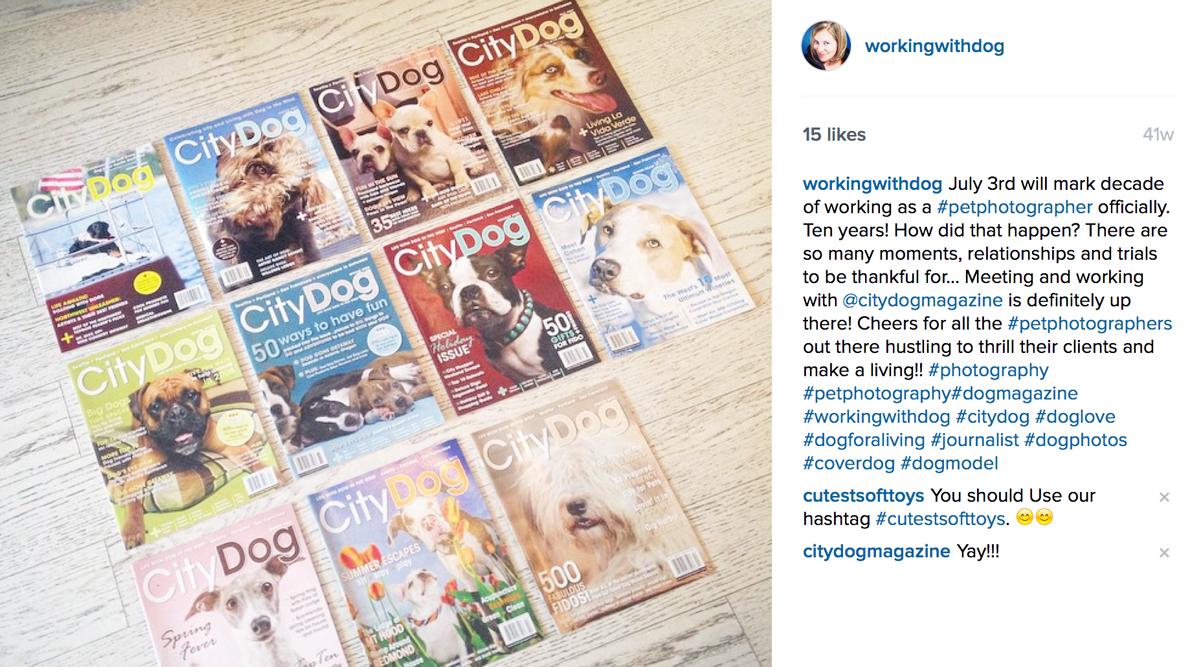 citydog_jnicholesmith_covers