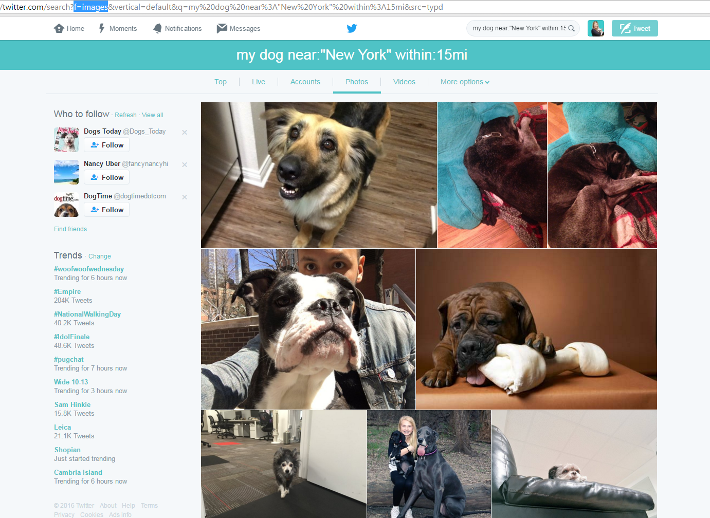 Tweets near NYC, containing 'my dog' and an image