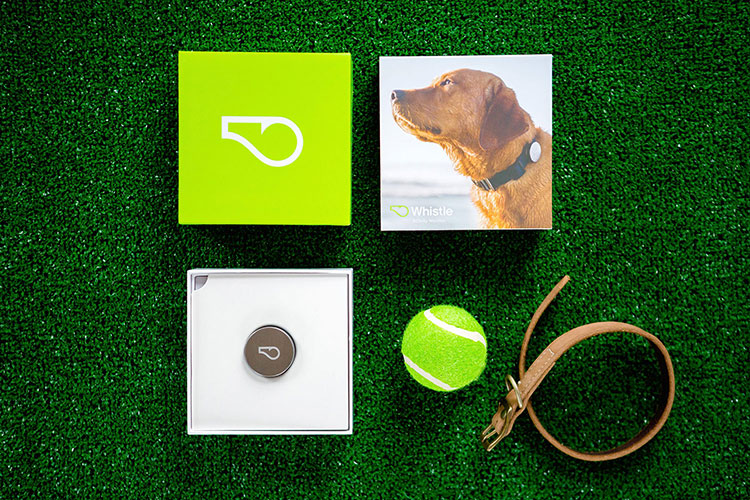 whistle dog activity tracker packaging by Design Womb