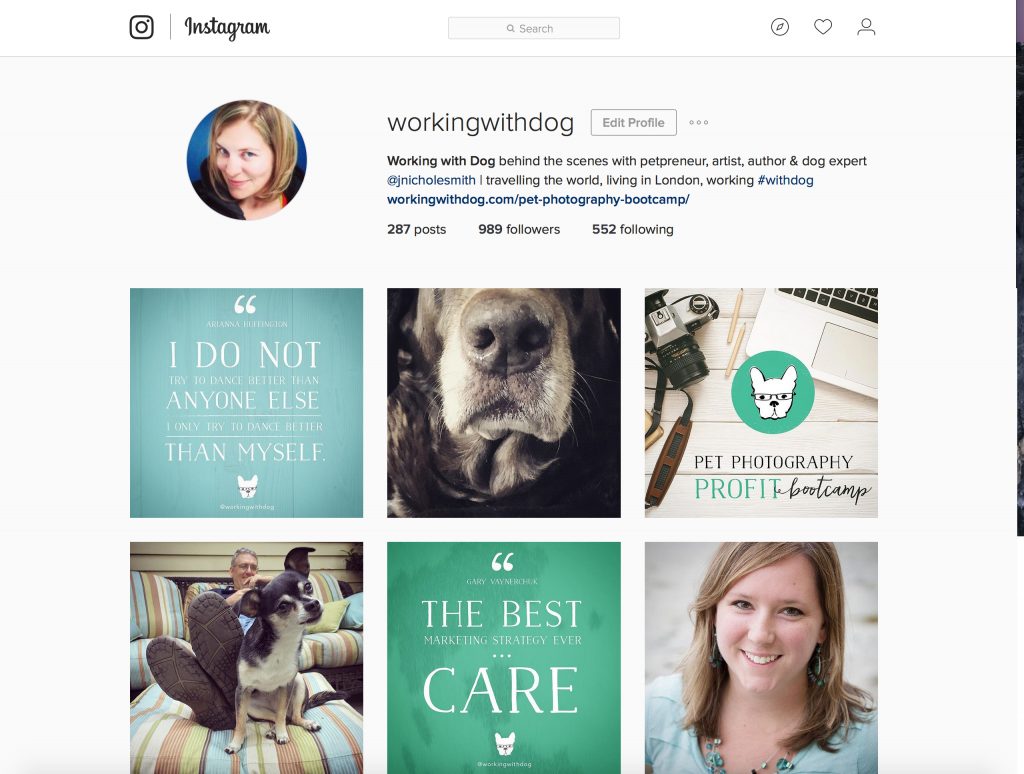 Working with Dog instagram account