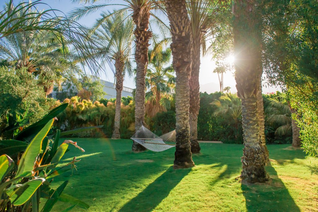 Hammock Parker Hotel Palm Springs