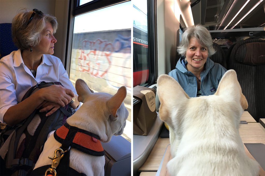 woman and french bulldog on the train in italy