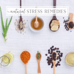 natural stress remedies for petpreneurs