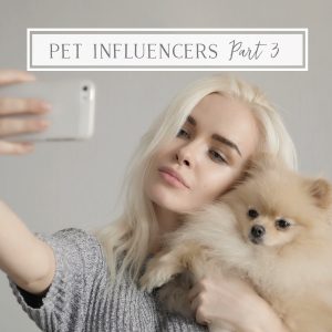 Pet Influencer taking selfie with pomeranian dog