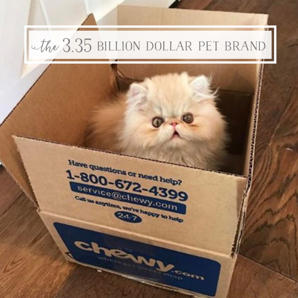 Cat in Chewy.com box