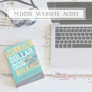 Million Dollar Dog Brand Website Audit