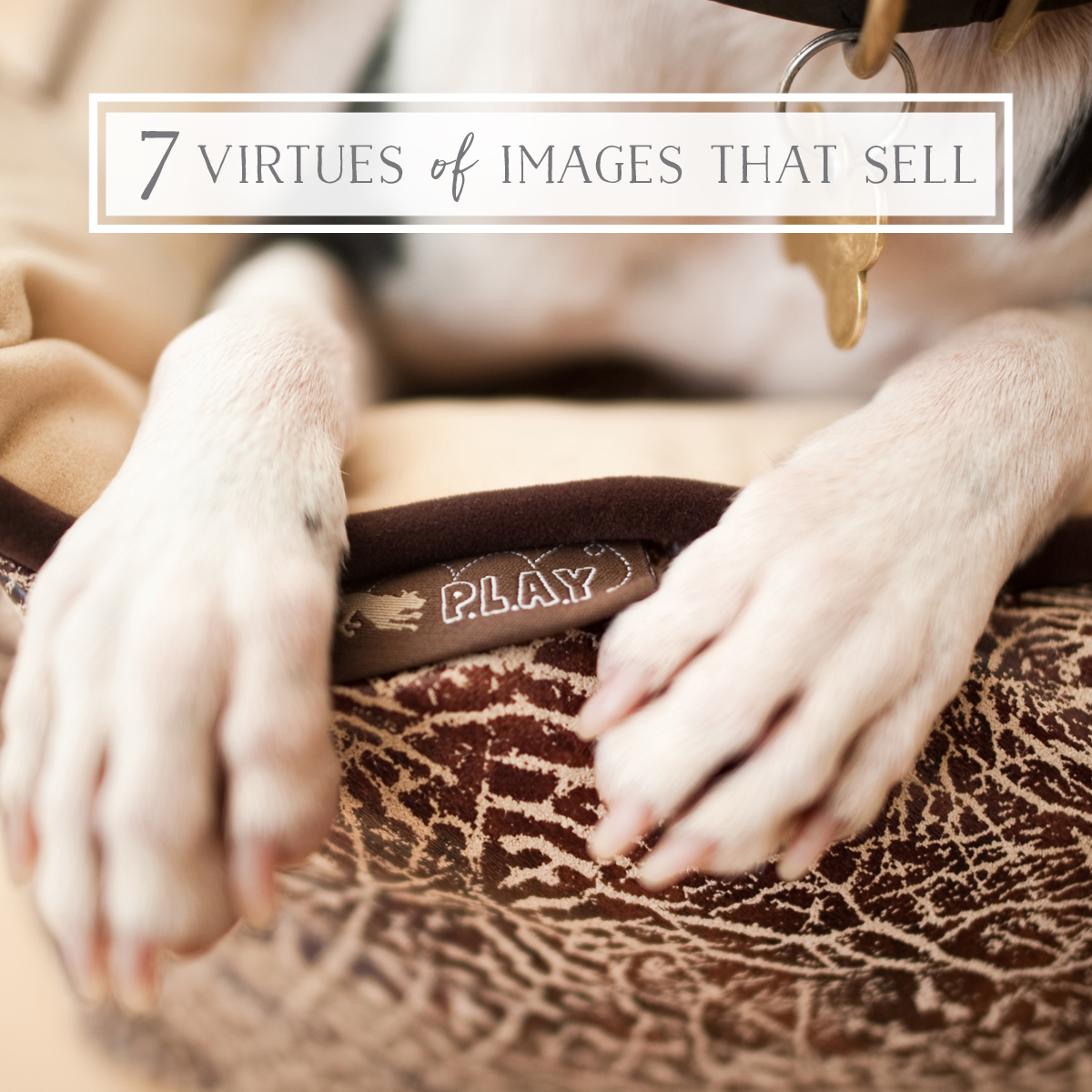 7 Virtues of Images that Sell