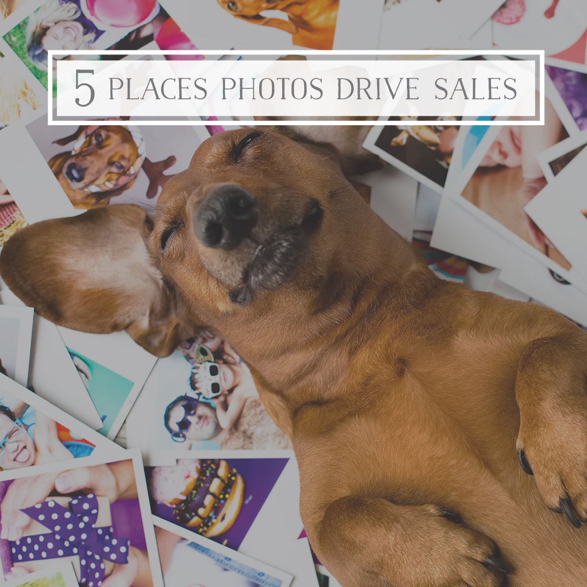 5 Plcaes Photos Drive Sales