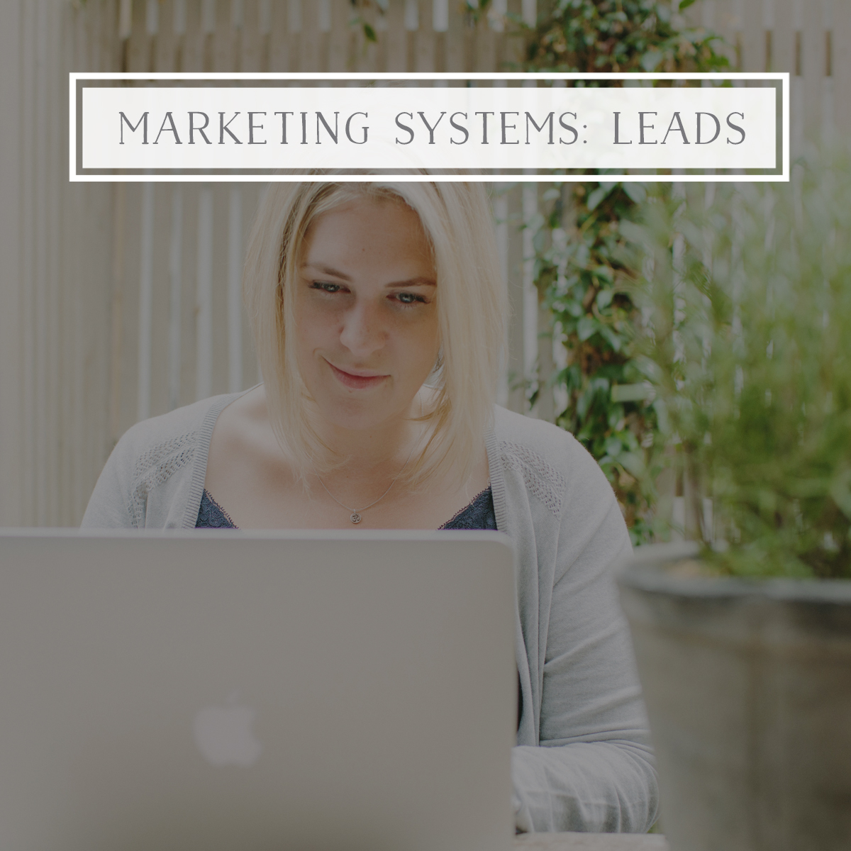 Marketing System: Leads